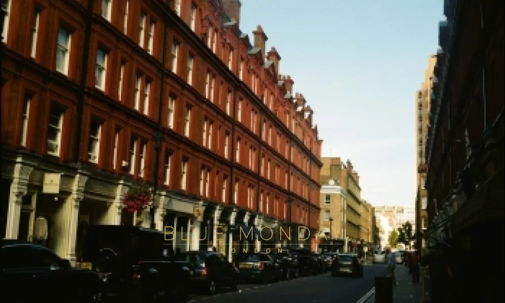the street and buildings on Park Lane