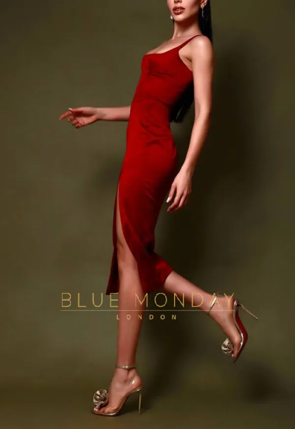 Profile image for Luna